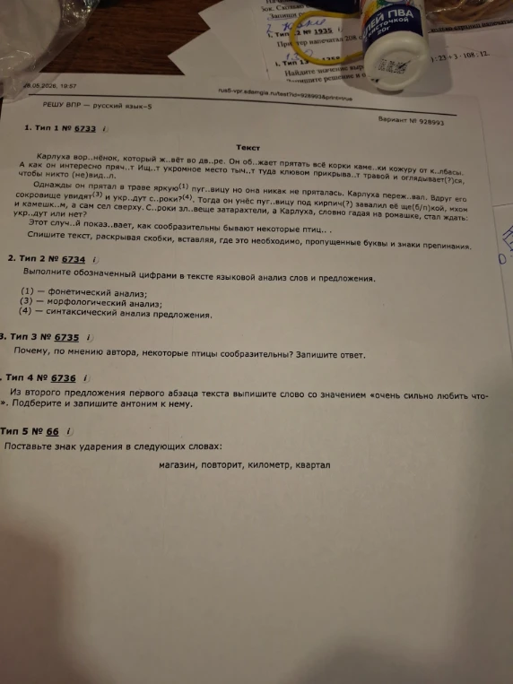 Спишите текст, раскрывая скобки, вставляя, где это необходимо, пропущенные буквы и знаки препинания.