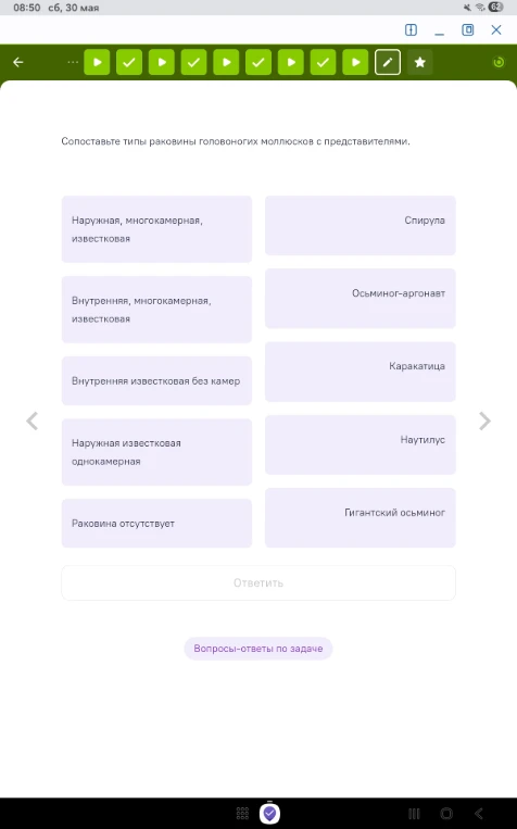 Составьте типы раковины головоногих моллюсков с представителями.