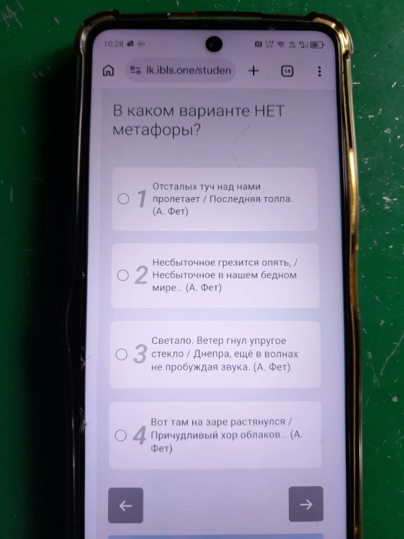 В каком варианте НЕТ метафоры?