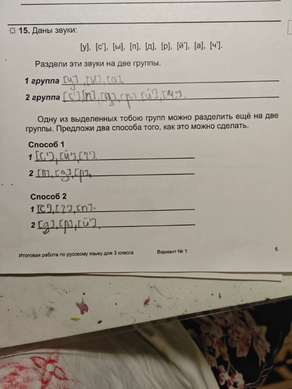Даны звуки: [у], [с'], [ы], [п], [д], [р], [й'], [а], [ч']. Раздели эти звуки на две группы.