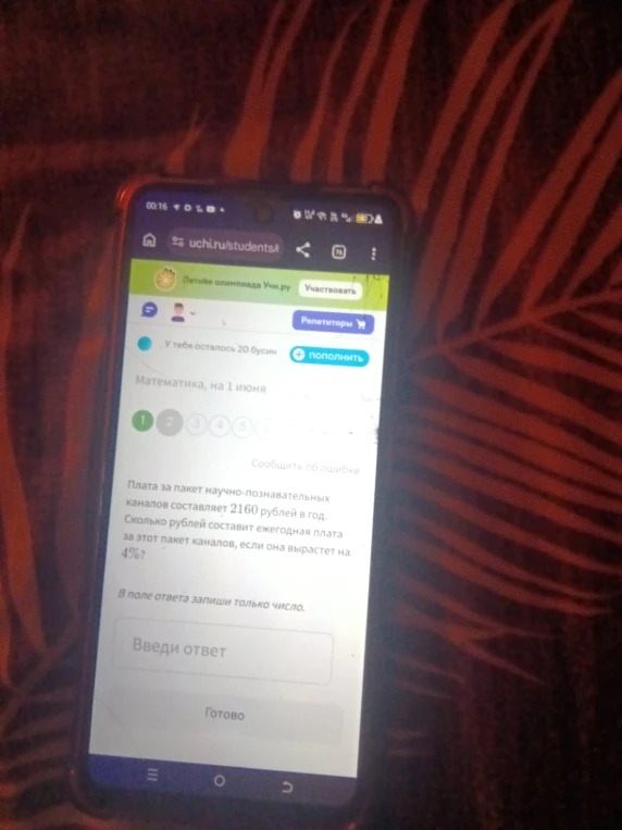 Плата за пакет научно-познавательных каналов составляет 2160 рублей в год. Сколько рублей составит ежегодная плата за этот пакет каналов, если она вырастет на 4%?