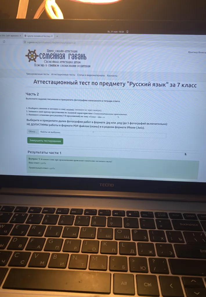 1. Подберите синоним и антоним к слову мокрый, (запишите их через запятую). 2. Запишите свой пример предложения по заданной характеристике: Сложноподчиненное предложение. 3. Напишите сочинение-рассуждение(5-8 предложений) на тему «Семья — это...».