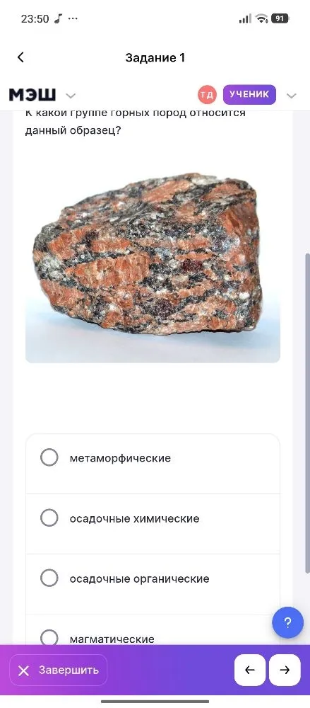 К какой группе горных пород относится данный образец?