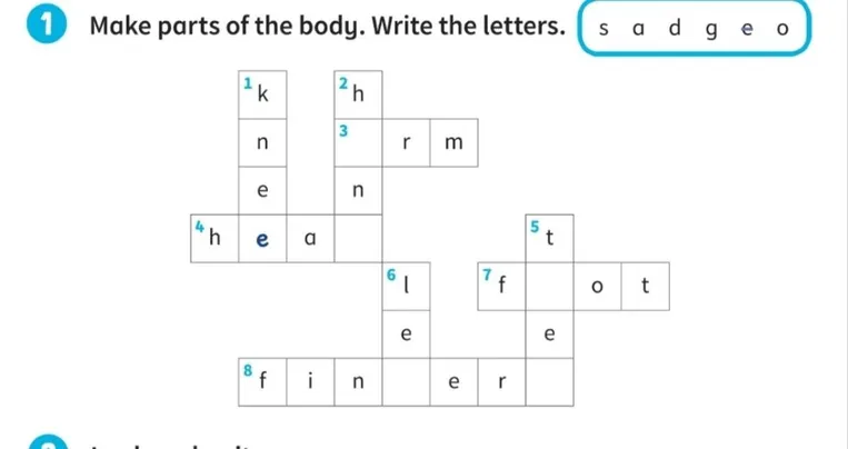 Make parts of the body. Write the letters.