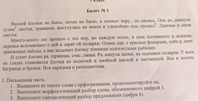 Выпишите из текста слова с орфограммами, прокомментируйте их.