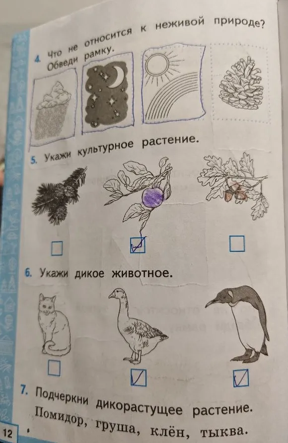 4. Что не относится к неживой природе? Обведи рамку.