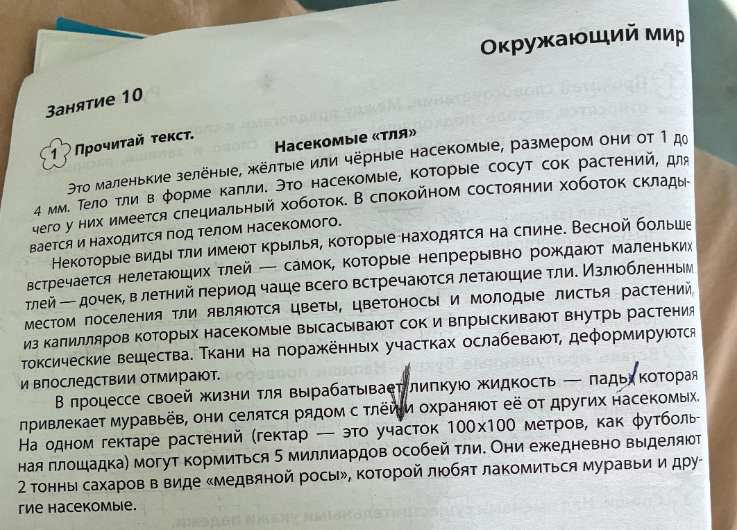 Прочитай текст. Насекомые «тля»