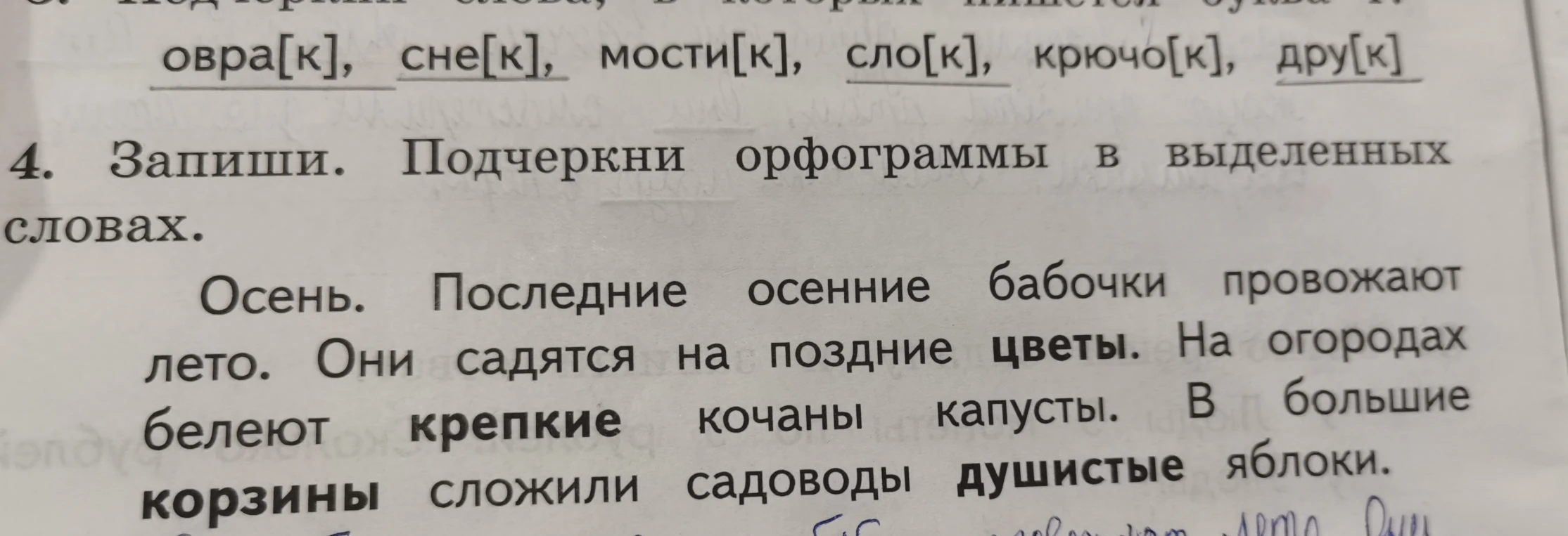 Запиши. Подчеркни орфограммы в выделенных словах.