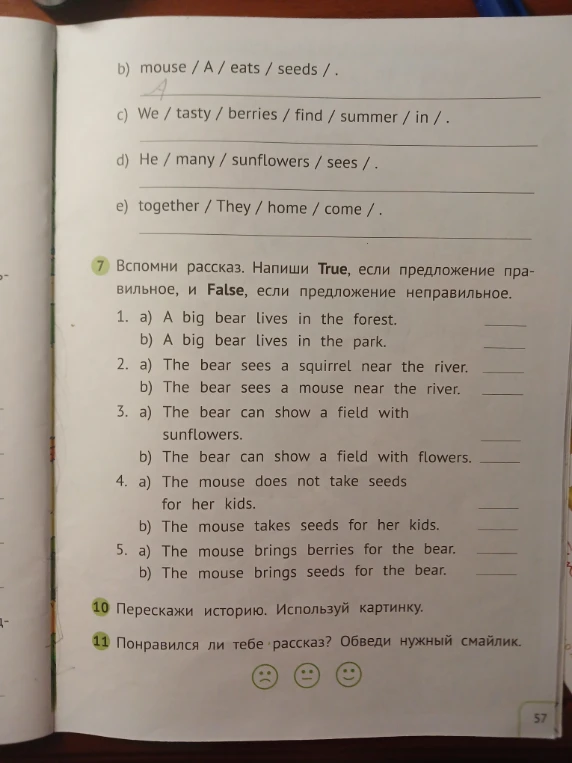 b) mouse / A / eats / seeds / .
