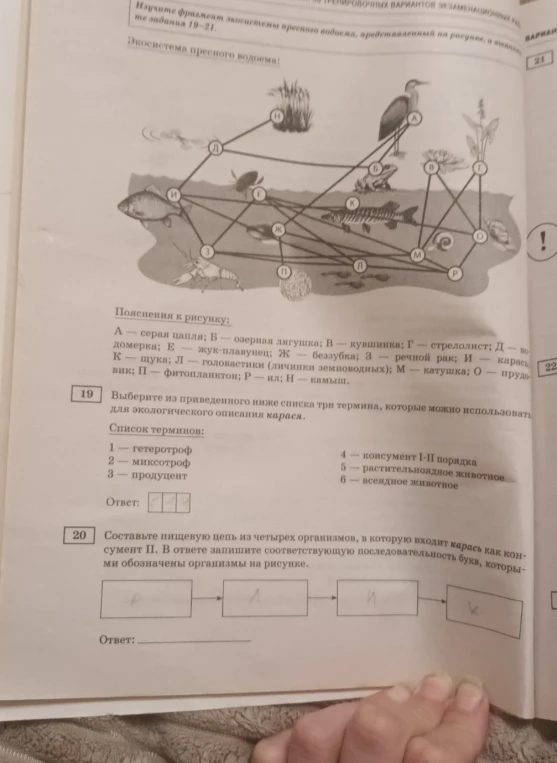 Выберите из приведенного ниже списка три термина, которые можно использовать для экологического описания карася.