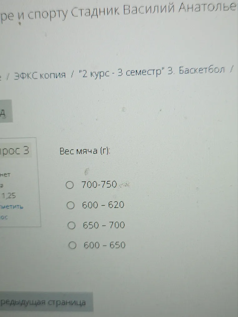 Вес мяча (г):