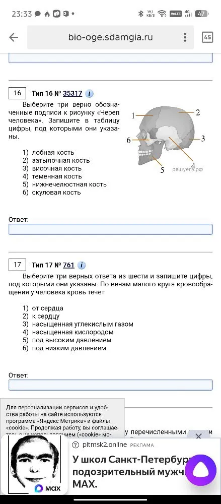 Выберите три верно обозначенные подписи к рисунку «Череп человека». Запишите в таблицу цифры, под которыми они указаны.