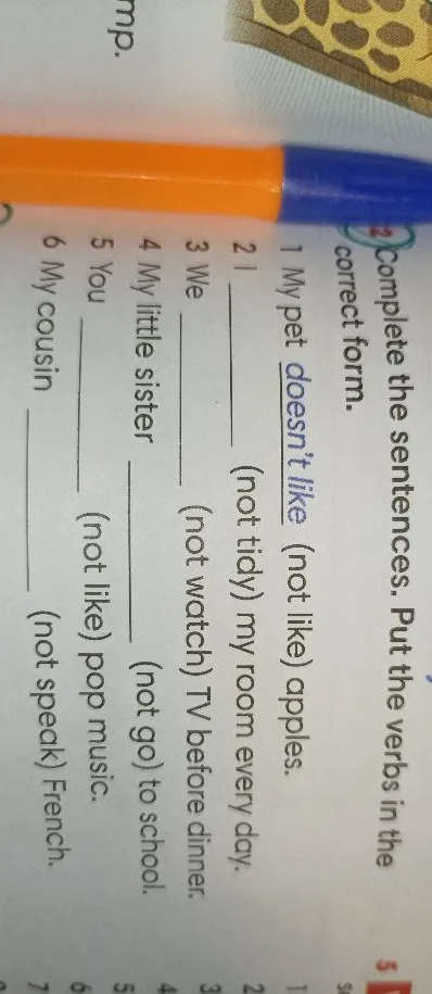 Complete the sentences. Put the verbs in the correct form.