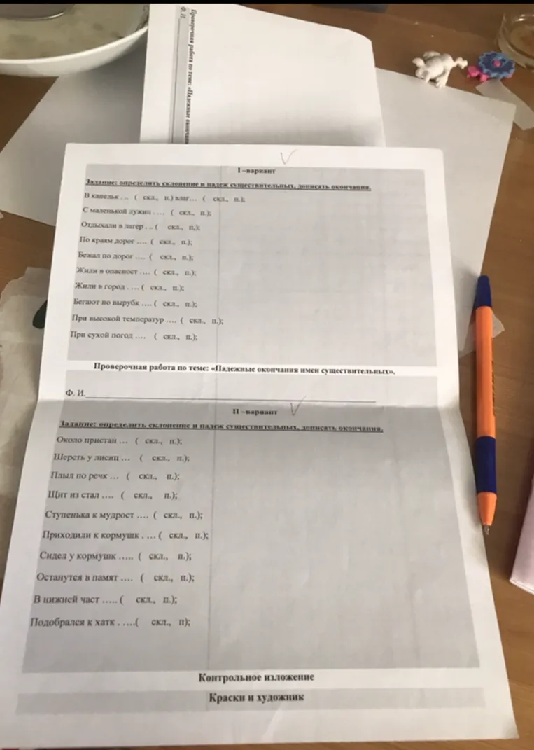 Задание: определить склонение и падеж существительных, дописать окончания.