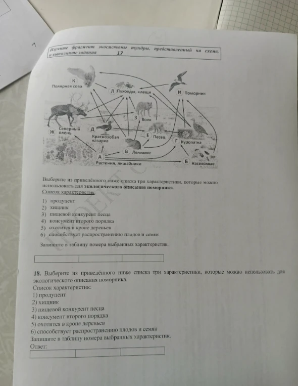 Выберите из приведённого ниже списка три характеристики, которые можно использовать для экологического описания поморника.