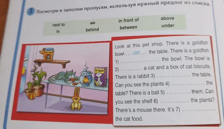 3) Посмотри и заполни пропуски, используя нужный предлог из списка.