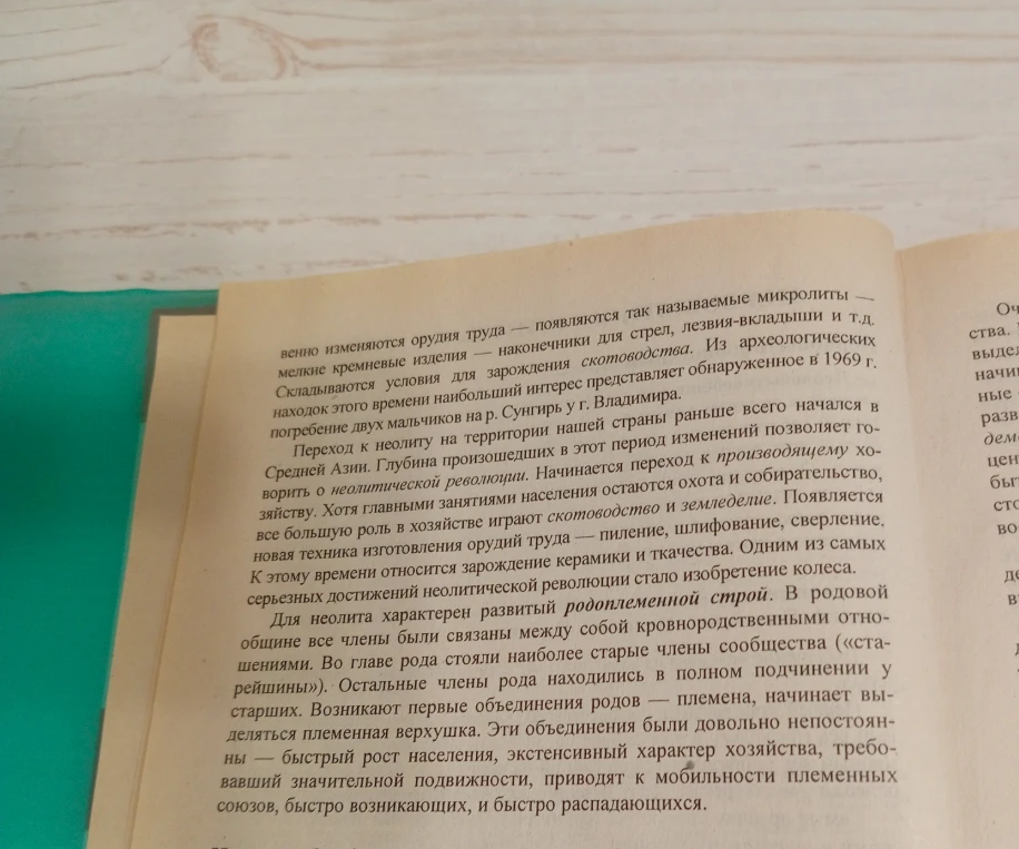 Переход к неолиту на территории нашей страны раньше всего начался в Средней Азии. Глубина произошедших в этот период изменений позволяет говорить о неолитической революции.
