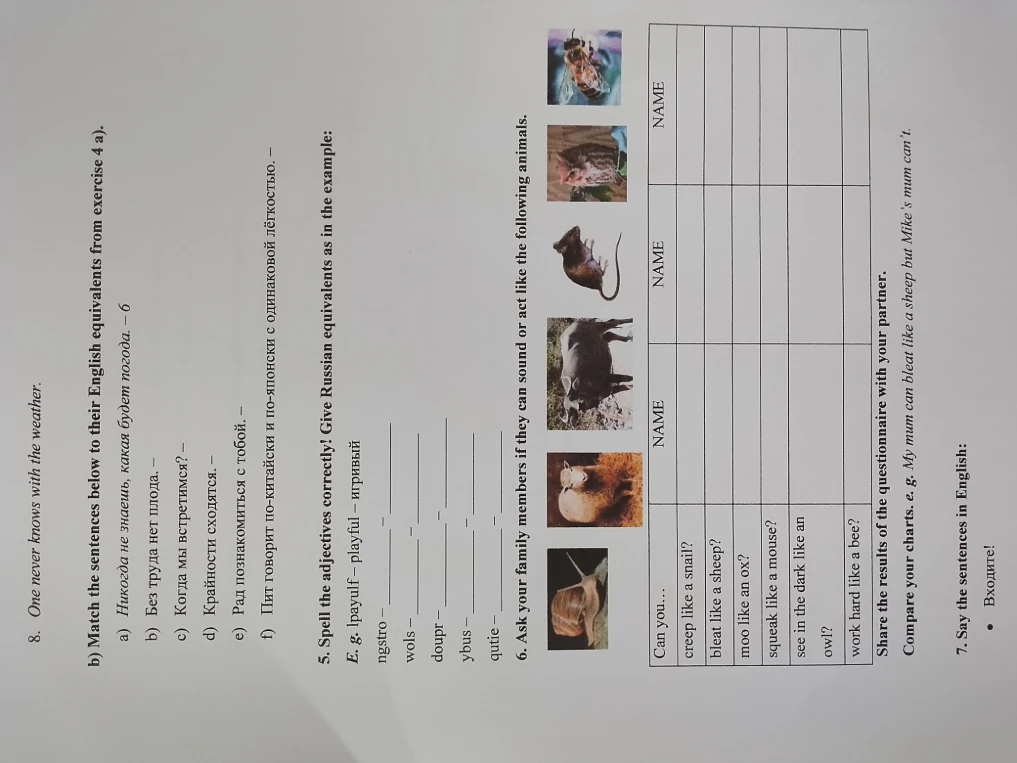 Match the sentences below to their English equivalents from exercise 4 a).