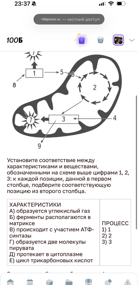 Установите соответствие между характеристиками и веществами, обозначенными на схеме выше цифрами 1, 2, 3: к каждой позиции, данной в первом столбце, подберите соответствующую позицию из второго столбца.