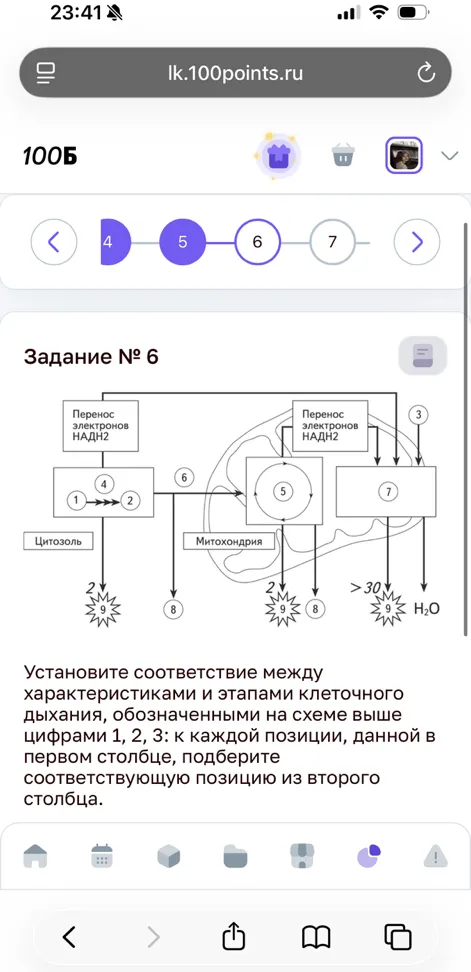Установите соответствие между характеристиками и этапами клеточного дыхания, обозначенными на схеме выше цифрами 1, 2, 3: к каждой позиции, данной в первом столбце, подберите соответствующую позицию из второго столбца.