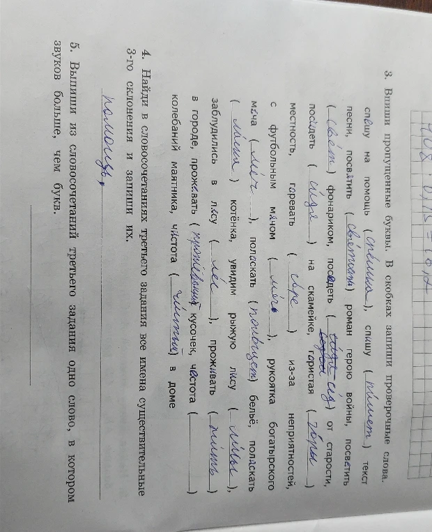 3. Впиши пропущенные буквы. В скобках запиши проверочные слова.