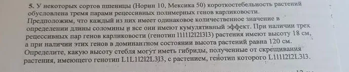 5. У некоторых сортов пшеницы (Норин 10, Мексика 50) короткостебельность растений обусловлена тремя парами рецессивных полимерных генов карликовости.
