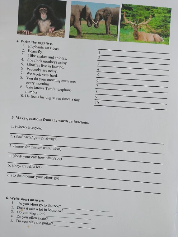 4. Write the negative. 1. Elephants eat tigers.