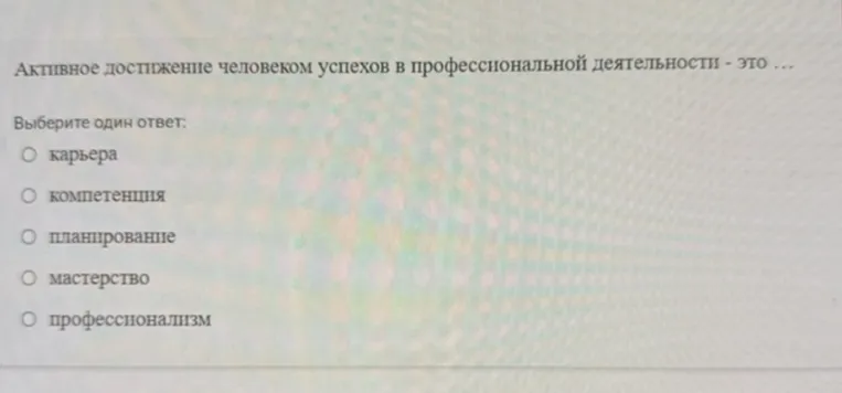 Активное достижение человеком успехов в профессиональной деятельности - это …