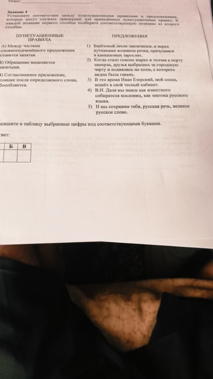 Установите соответствие между пунктуационными правилами и предложениями, которые могут служить примерами для приведённых пунктуационных правил.