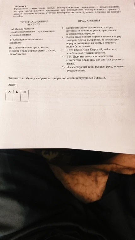 Установите соответствие между пунктуационными правилами и предложениями, которые могут служить примерами для приведённых пунктуационных правил.