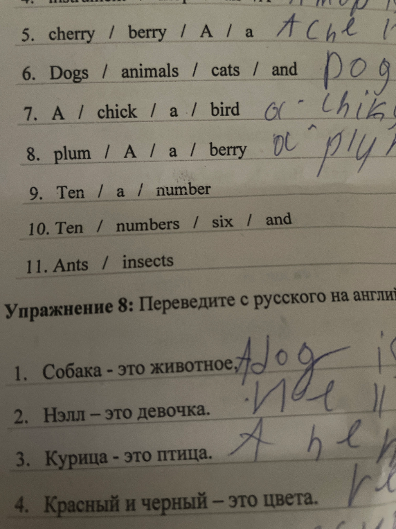 Упражнение 8: Переведите с русского на английский