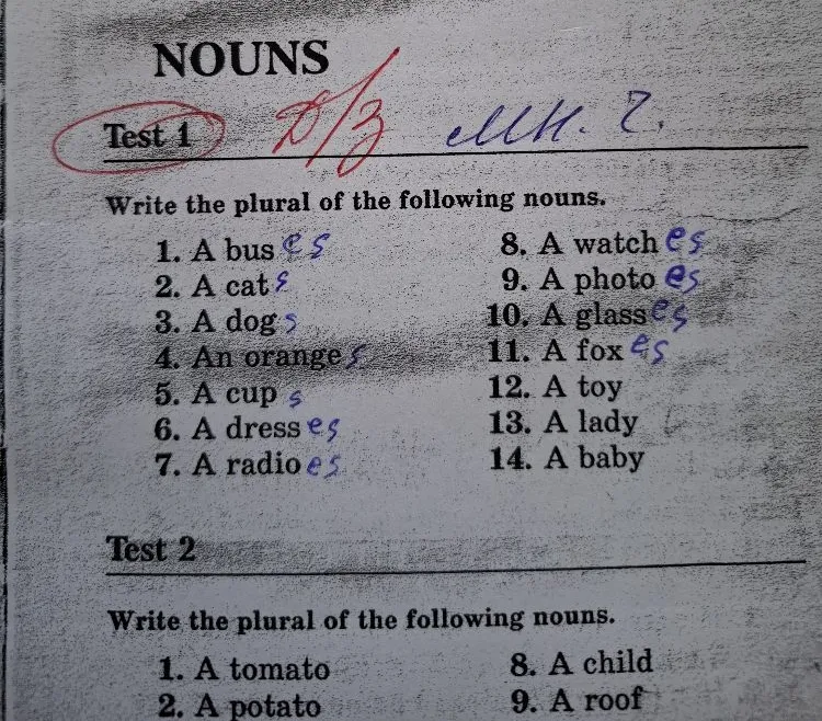 Write the plural of the following nouns.