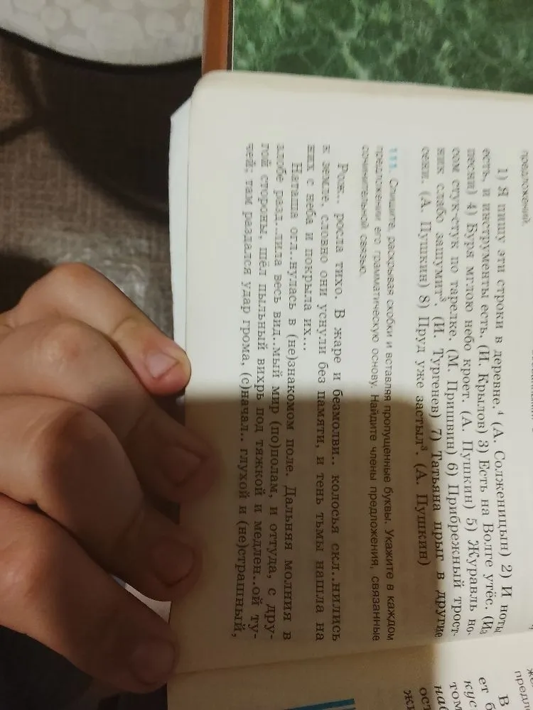 111. Опишите, раскрывая скобки и вставляя пропущенные буквы. Укажите в каждом предложении его грамматическую основу. Найдите члены предложения, связанные сочинительной связью.