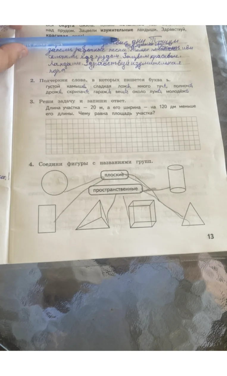 Подчеркни слова, в которых пишется буква ь. густой камыш, сладкая ложь, много туч, полночь, дрожь, скрипач, гараж, вещь, около луж, молодёжь.