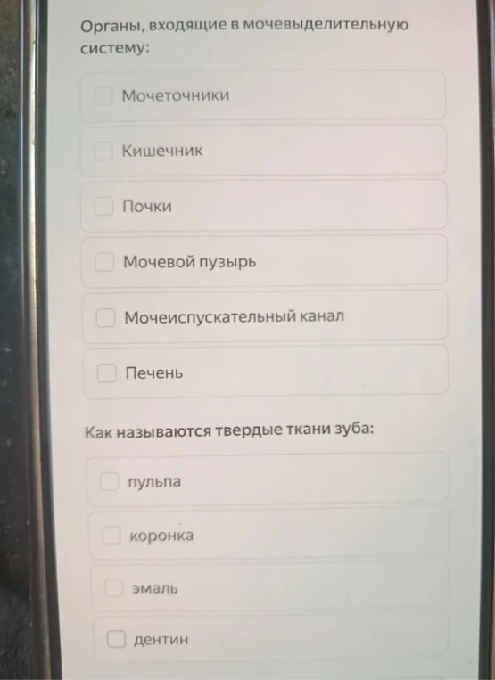 Органы, входящие в мочевыделительную систему: