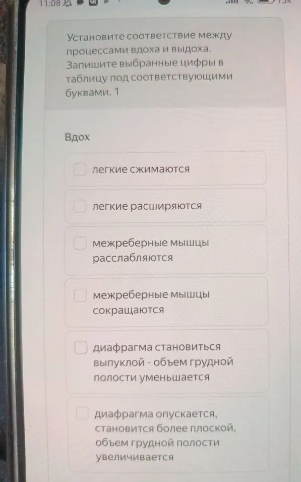 Установите соответствие между процессами вдоха и выдоха. Запишите выбранные цифры в таблицу под соответствующими буквами.