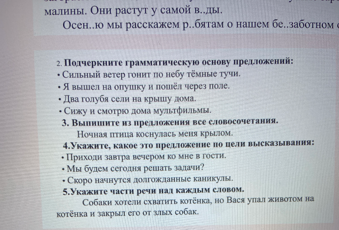 2. Подчеркните грамматическую основу предложений: