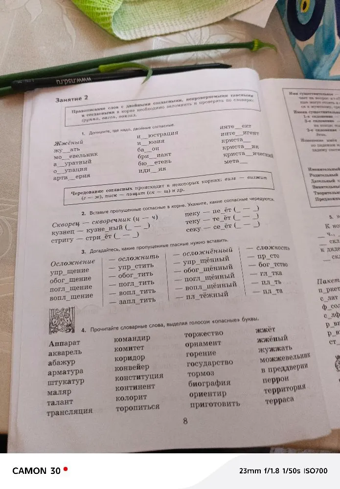 1. Допишите, где надо, двойные согласные.