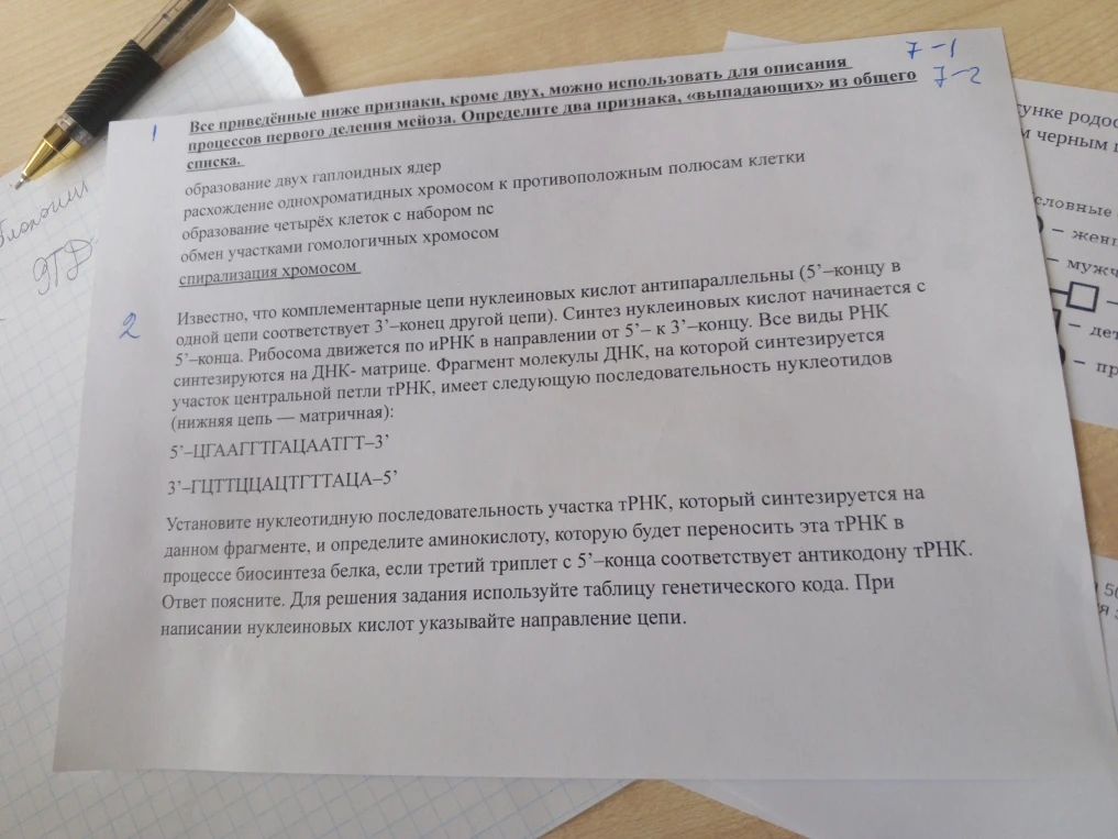 Все приведённые ниже признаки, кроме двух, можно использовать для описания процессов первого деления мейоза. Определите два признака, «выпадающих» из общего списка.