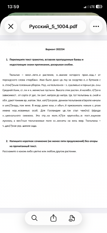 1. Перепишите текст грамотно, вставляя пропущенные буквы и недостающие знаки препинания, раскрывая скобки.