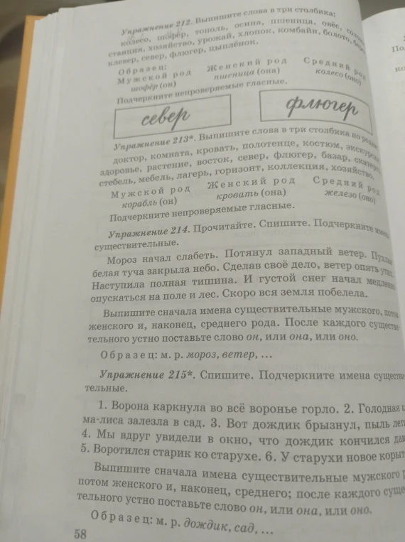 Упражнение 212. Выпишите слова в три столбика: колесо, шофёр, тополь, осина, пшеница, овёс, солома, станция, хозяйство, урожай, хлопок, комбайн, болото, берёза, клевер, север, флюгер, цыплёнок.