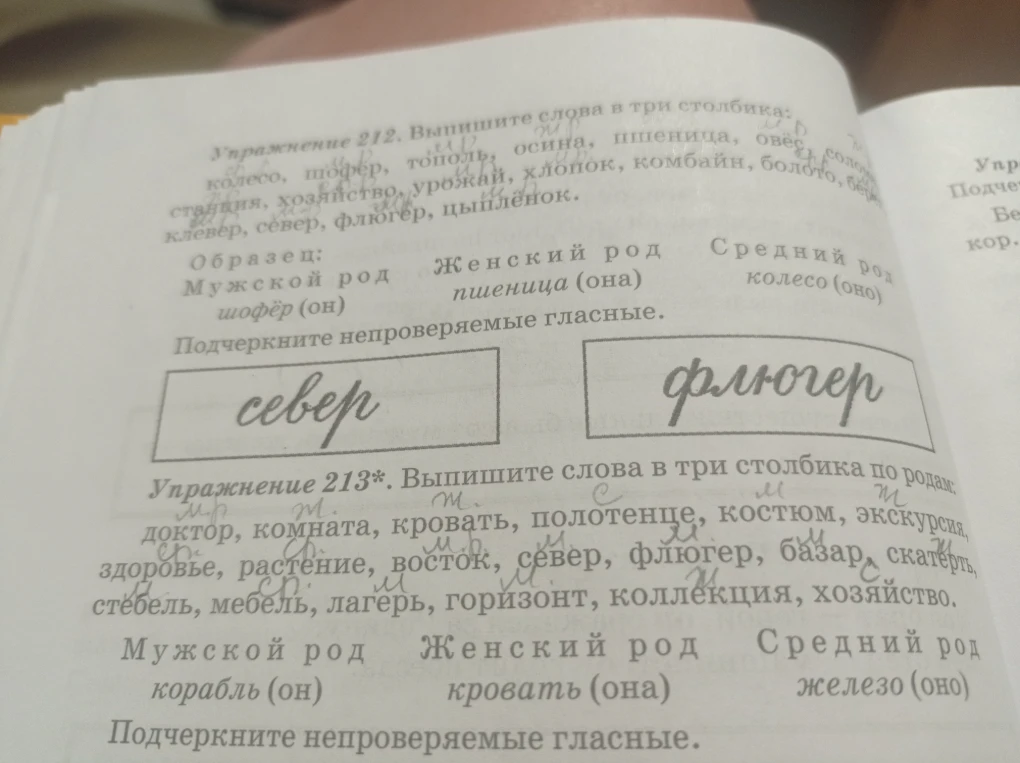 Упражнение 213. Выпишите слова в три столбика по родам: доктор, комната, кровать, полотенце, костюм, экскурсия, здоровье, растение, восток, север, флюгер, базар, скатерть, стебель, мебель, лагерь, горизонт, коллекция, хозяйство.