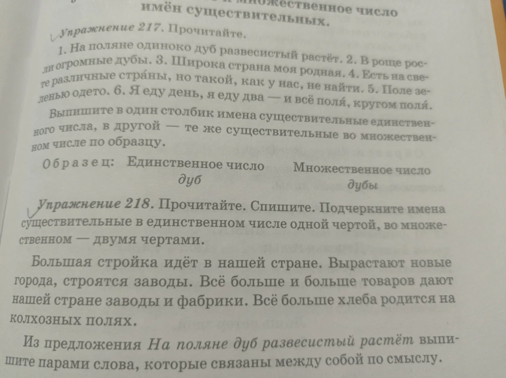 Упражнение 217. Прочитайте. Выпишите в один столбик имена существительные единственного числа, в другой — те же существительные во множественном числе по образцу. Упражнение 218. Прочитайте. Спишите. Подчеркните имена существительные в единственном числе одной чертой, во множественном — двумя чертами.