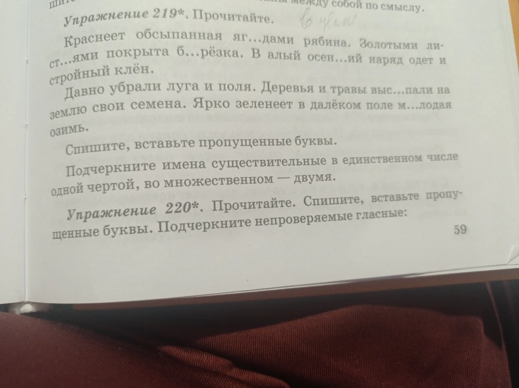 Упражнение 219*. Прочитайте. Краснеет обсыпанная яг...дами рябина. Золотыми ли- ст...ями покрыта б...рёзка... Спишите, вставьте пропущенные буквы. Подчеркните имена существительные в единственном числе одной чертой, во множественном — двумя.