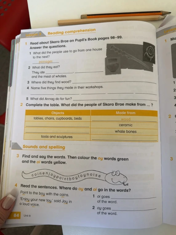 Read about Skara Brae on Pupil's Book pages 98-99. Answer the questions.