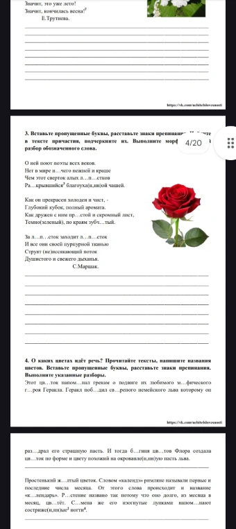 Вставьте пропущенные буквы, расставьте знаки препинания. Найдите в тексте причастия, подчеркните их. Выполните морфологический разбор обозначенного слова.