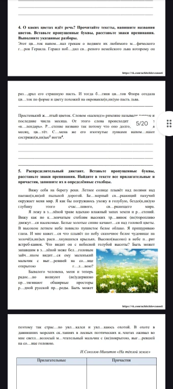 4. О каких цветах идёт речь? Прочитайте тексты, напишите названия цветов. Вставьте пропущенные буквы, расставьте знаки препинания.