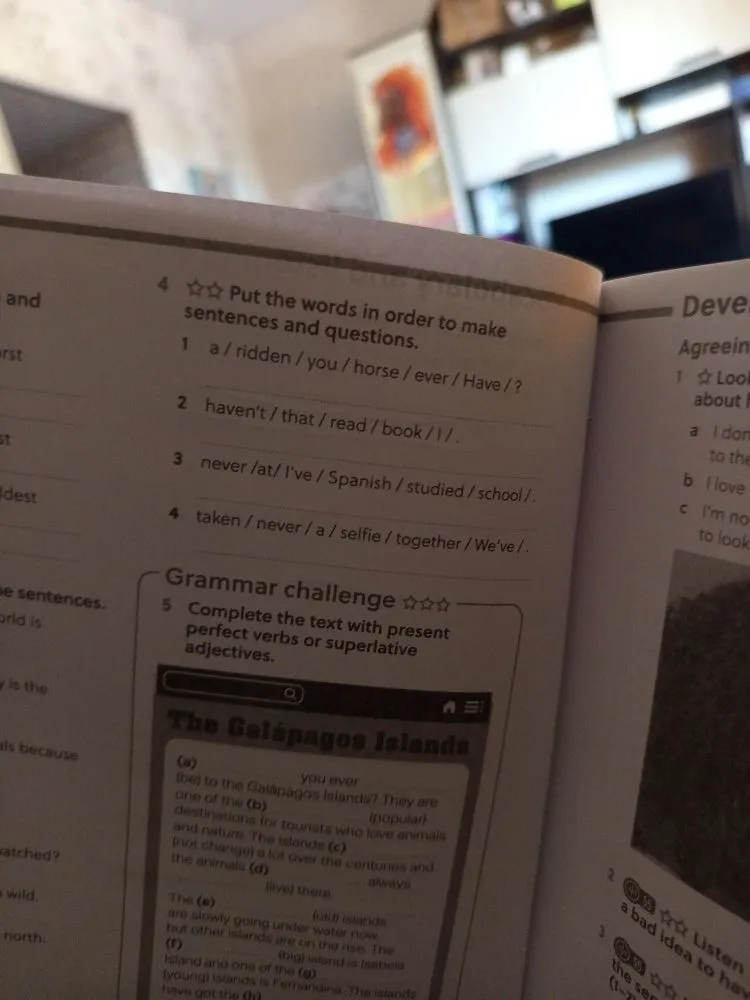 Put the words in order to make sentences and questions.