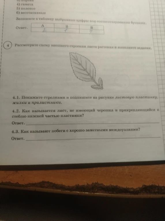 Рассмотрите схему внешнего строения листа растения и выполните задания.
