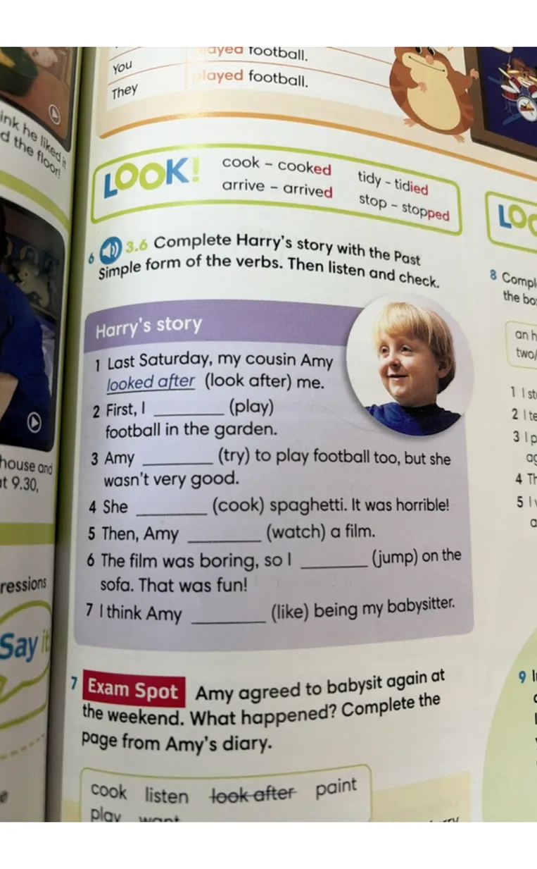 Complete Harry's story with the Past Simple form of the verbs. Then listen and check.